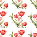 Seamless pattern with bloom red tulip flower